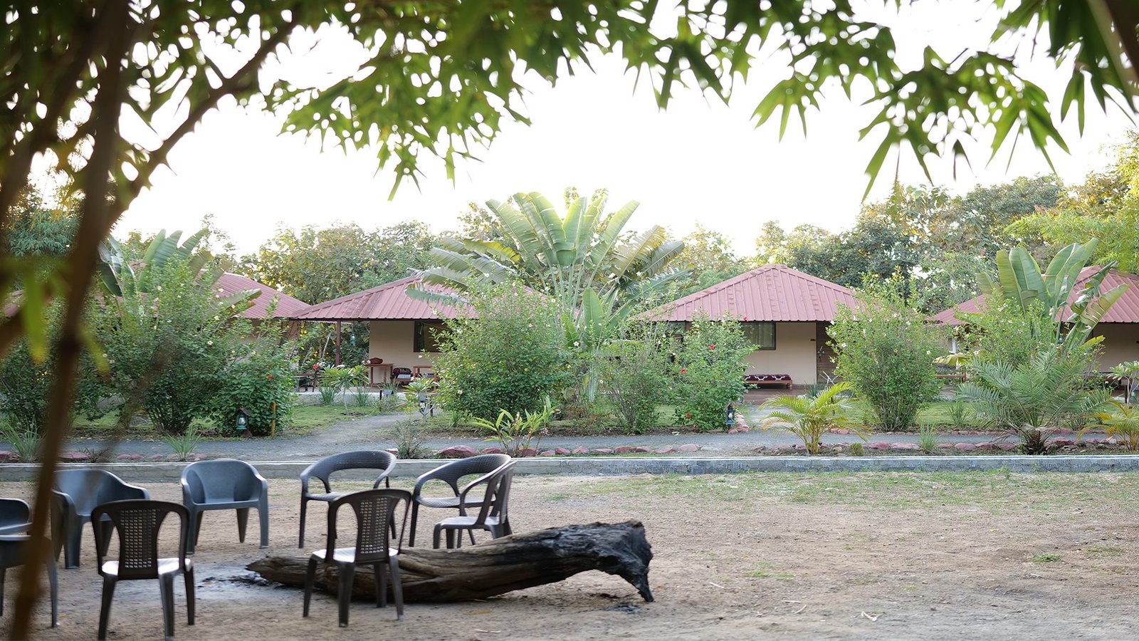 Tadoba Safari Stay — view 15