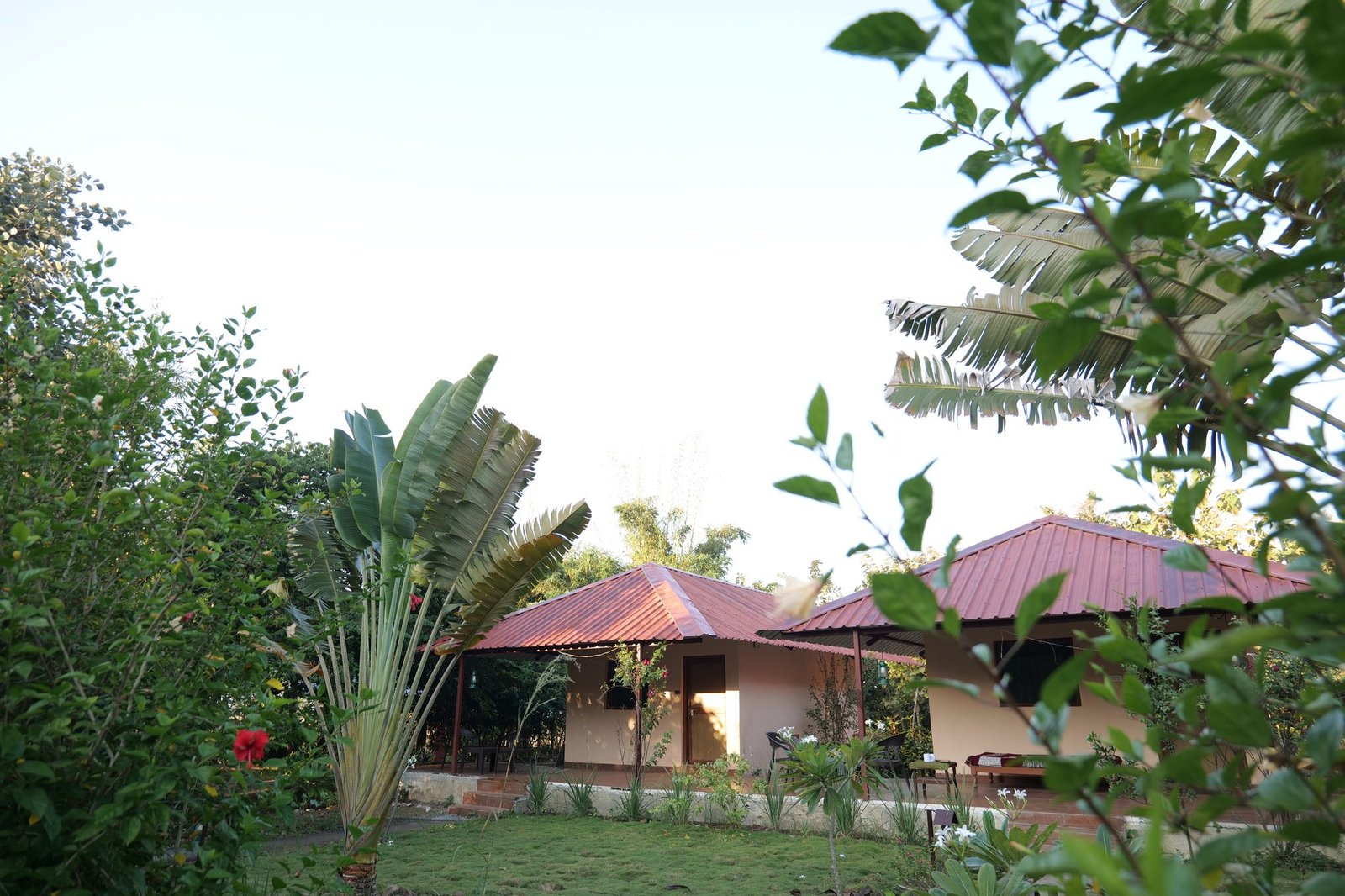 Tadoba Safari Stay