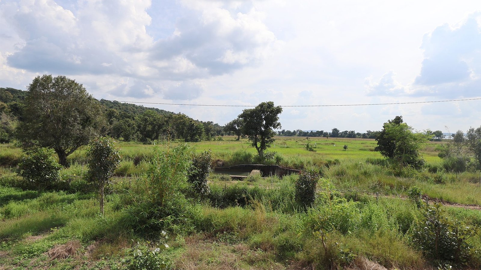 Tadoba Safari Stay — view 13