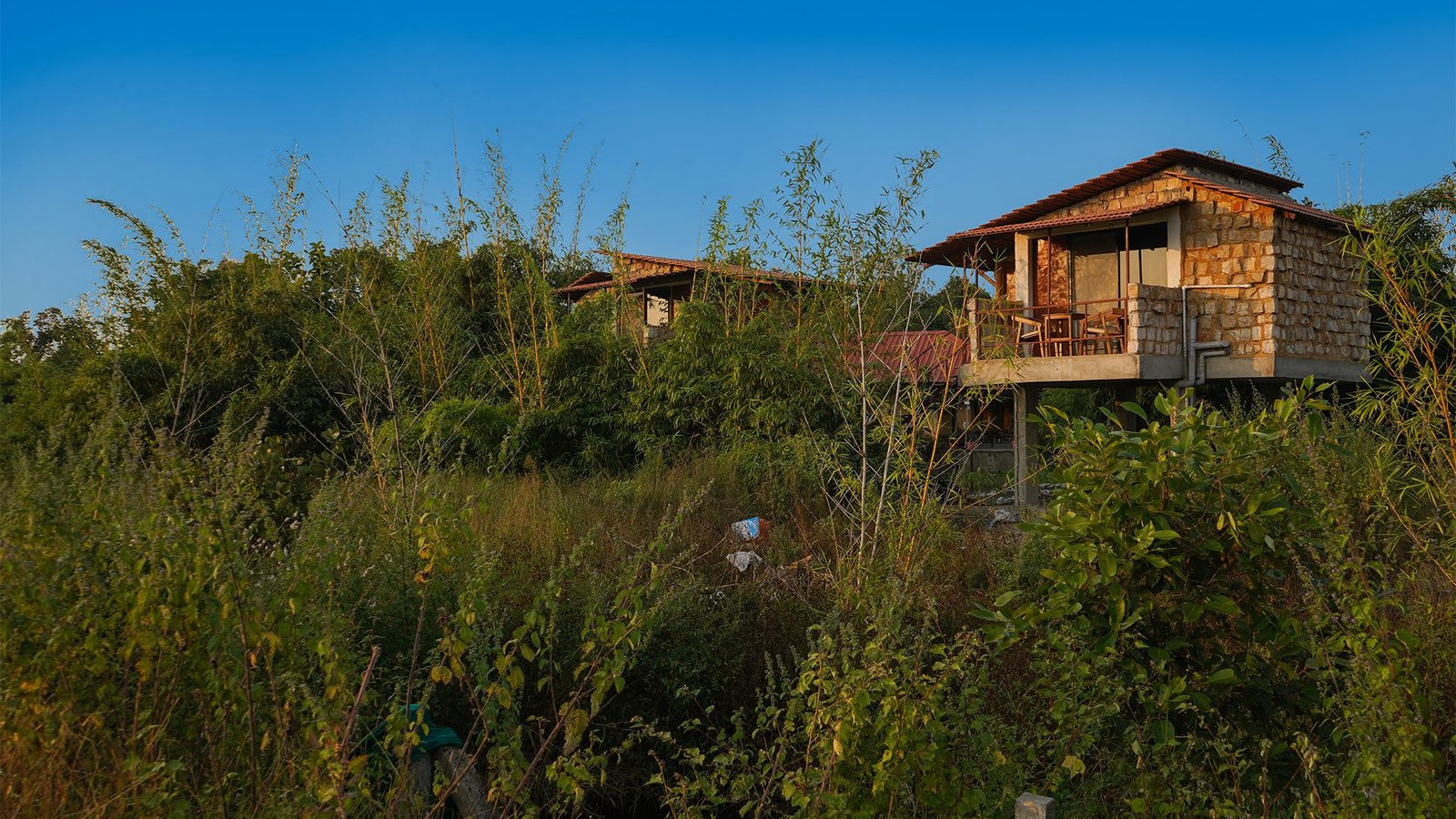Tadoba Safari Stay — our 4-star resort
