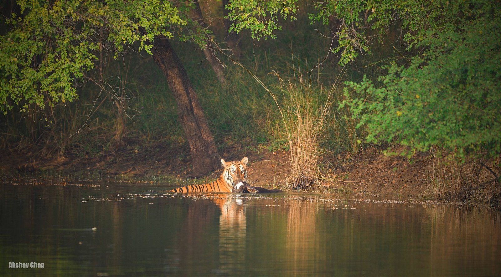 Kolara Range Leisure Trip — view 4