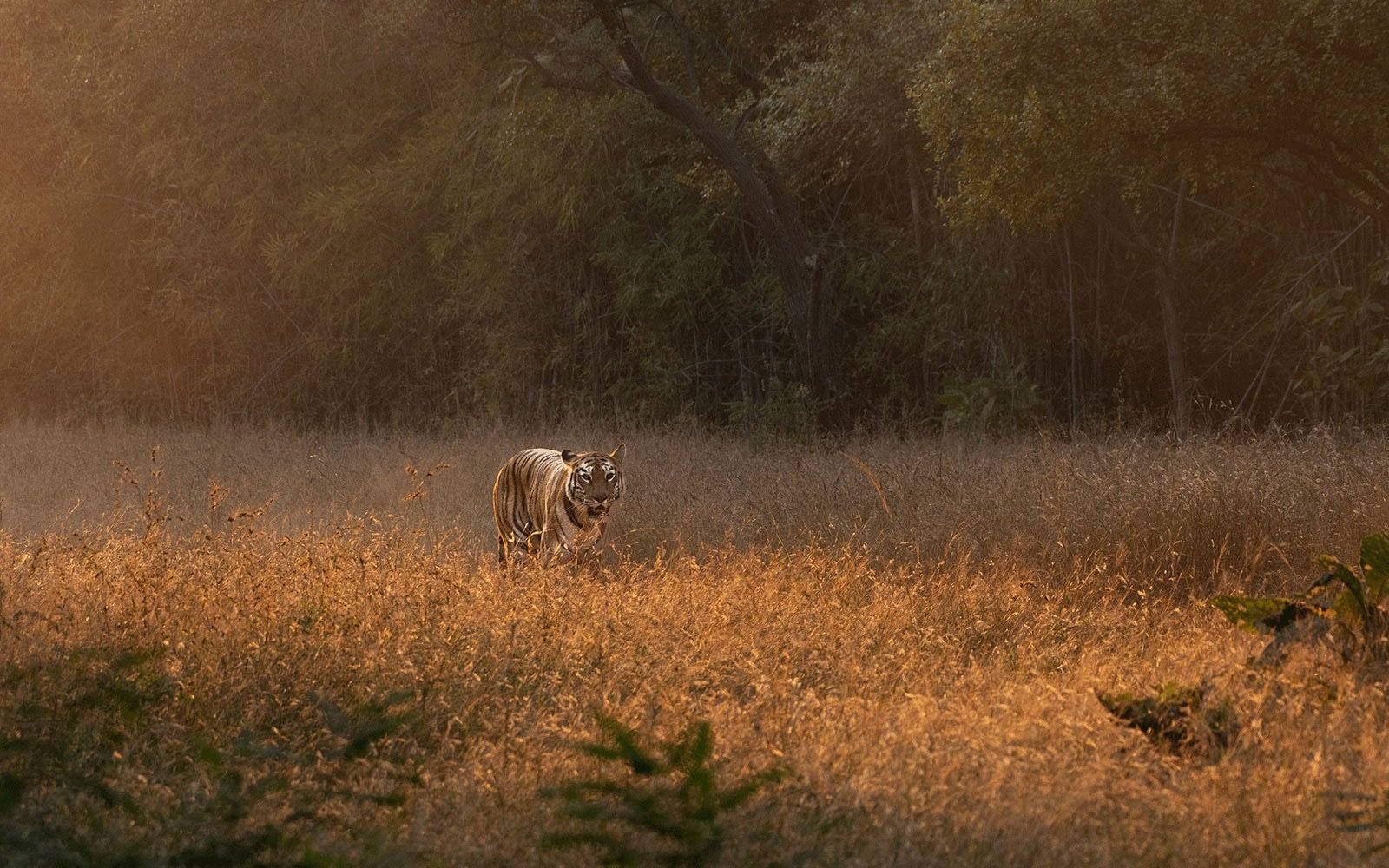 Navegaon Zone