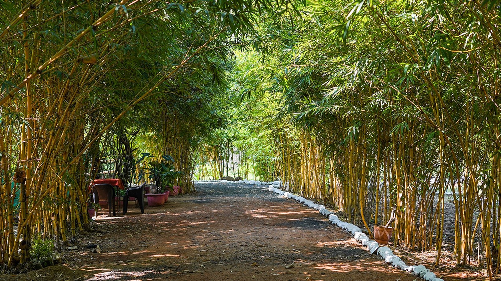 Tadoba Safari Stay — view 3